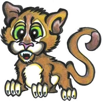 Baby Cougar 